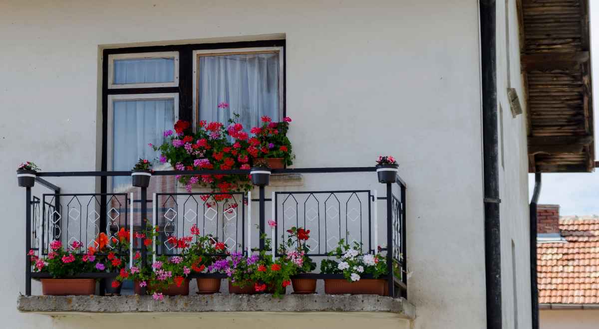 Best Plants To Grow On Your Home's Balcony