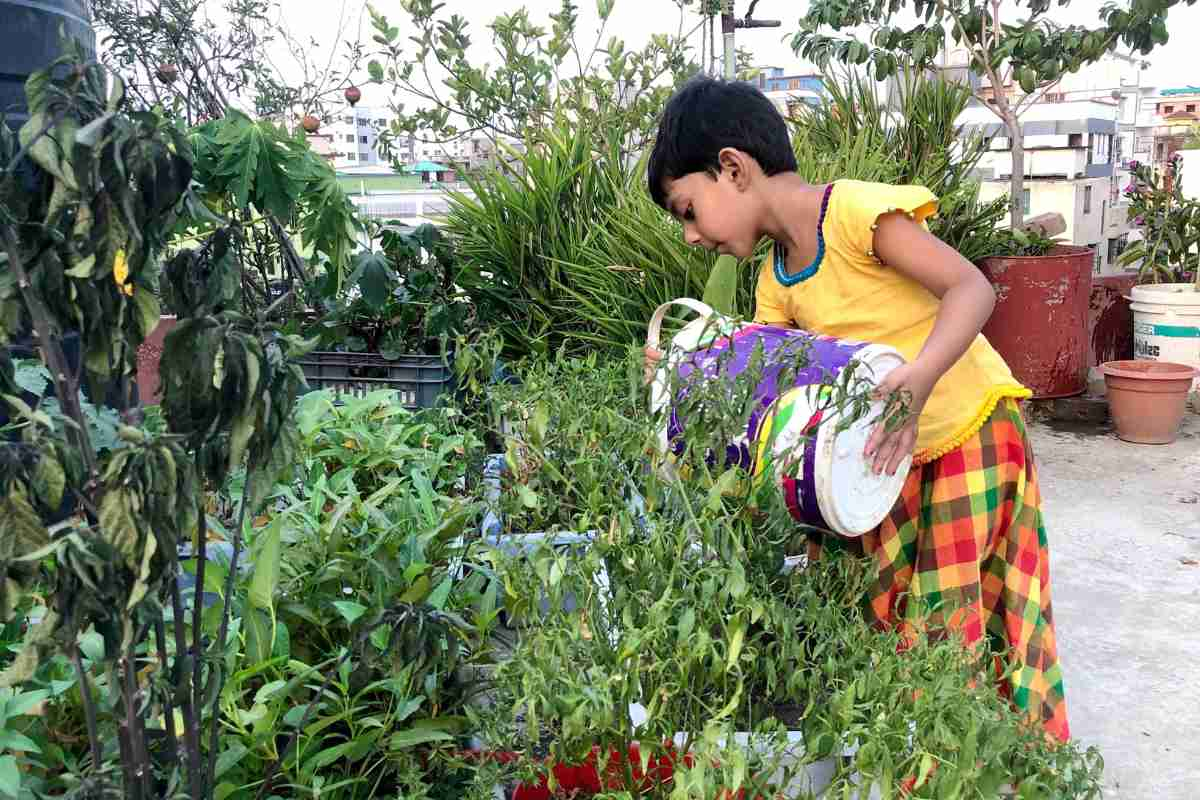 Edible Garden