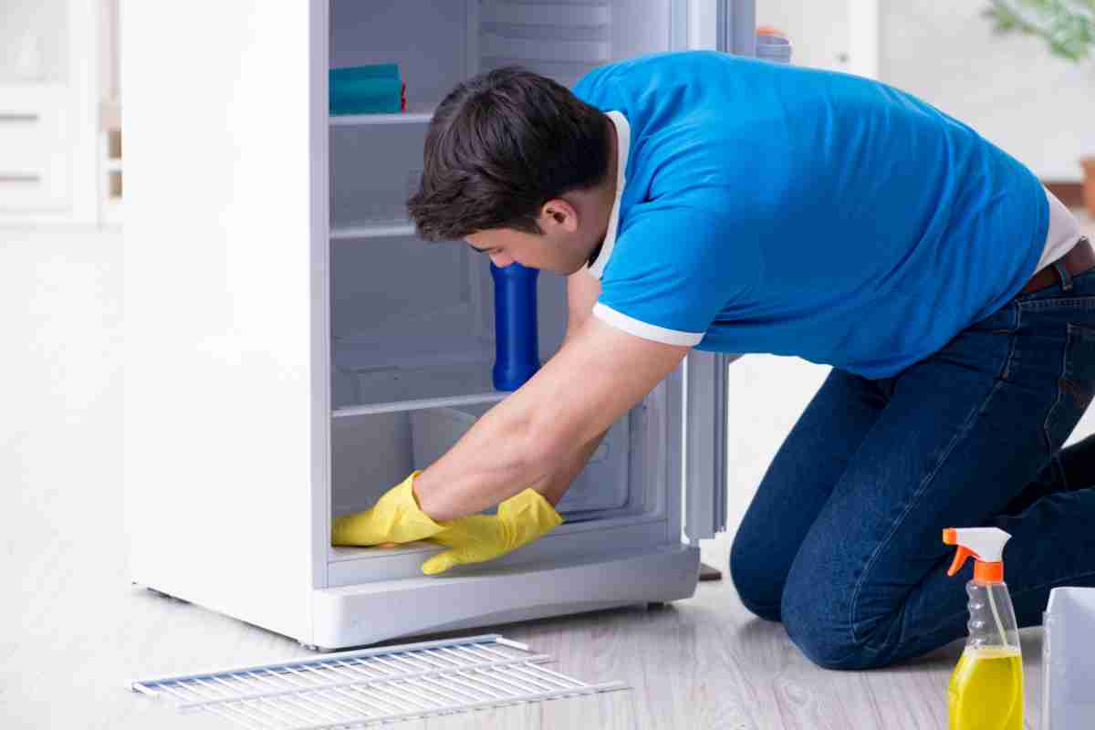 Keep your fridge spotless