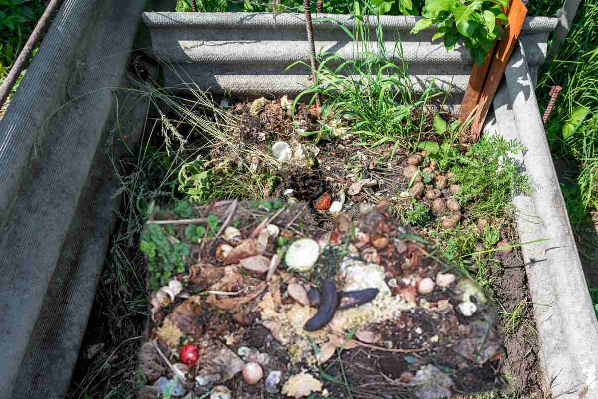 Make A Compost Heap