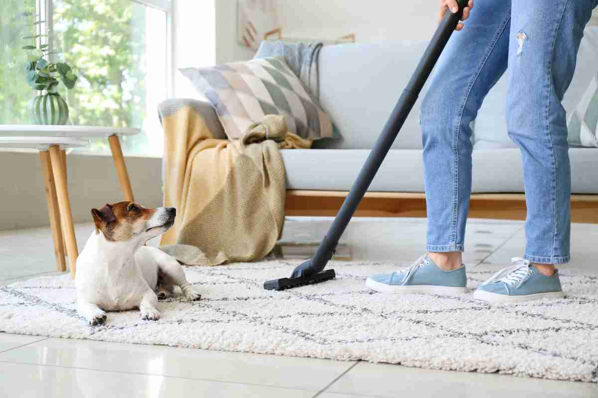 Carpet Cleaning