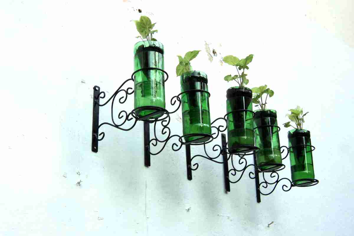 Glass bottles used as self watering pots