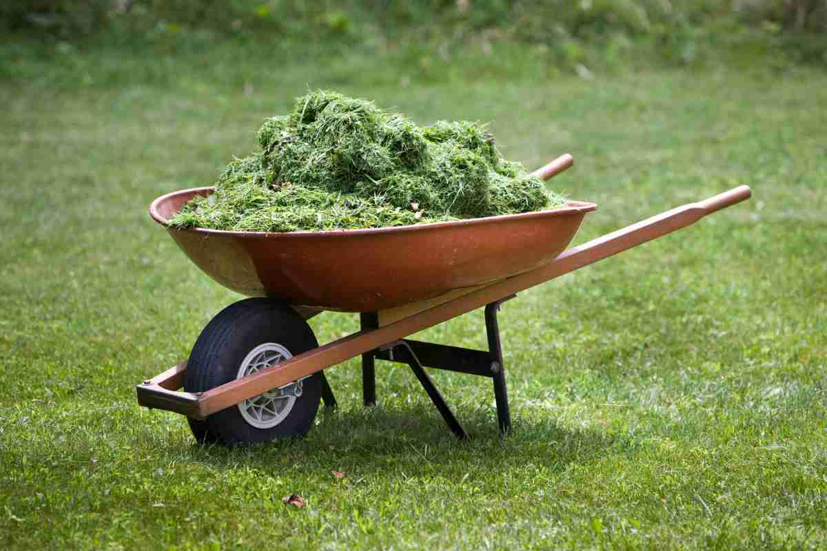 Make a compost tea from grass clippings 