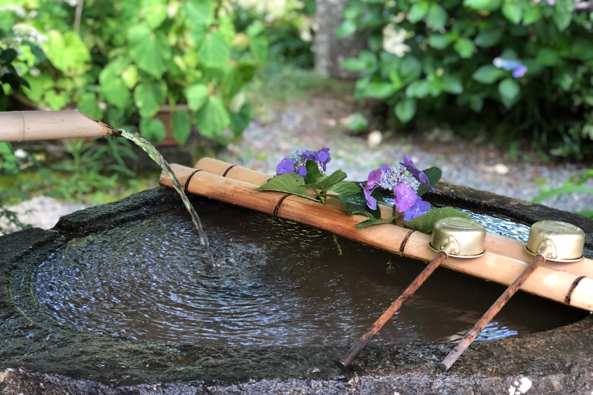 Bamboo used as a barrier and for a water feature 