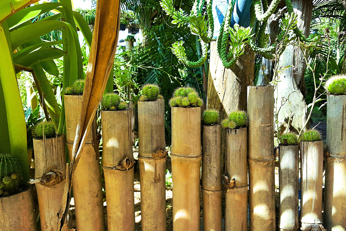 Bamboo trellises can be used to provide an island of privacy