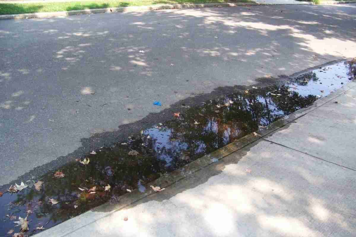 Water collected after car washing in the driveway    