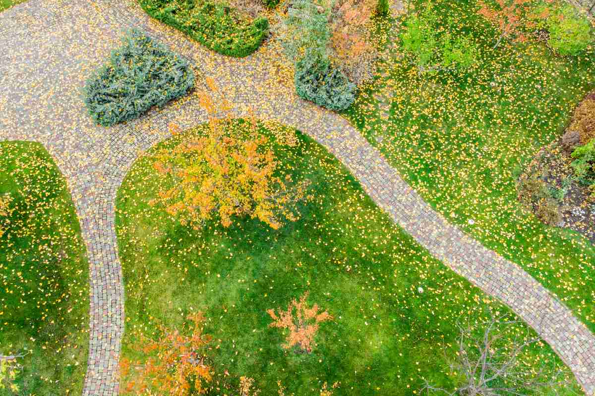 Colorful foliage planted along a garden pathway