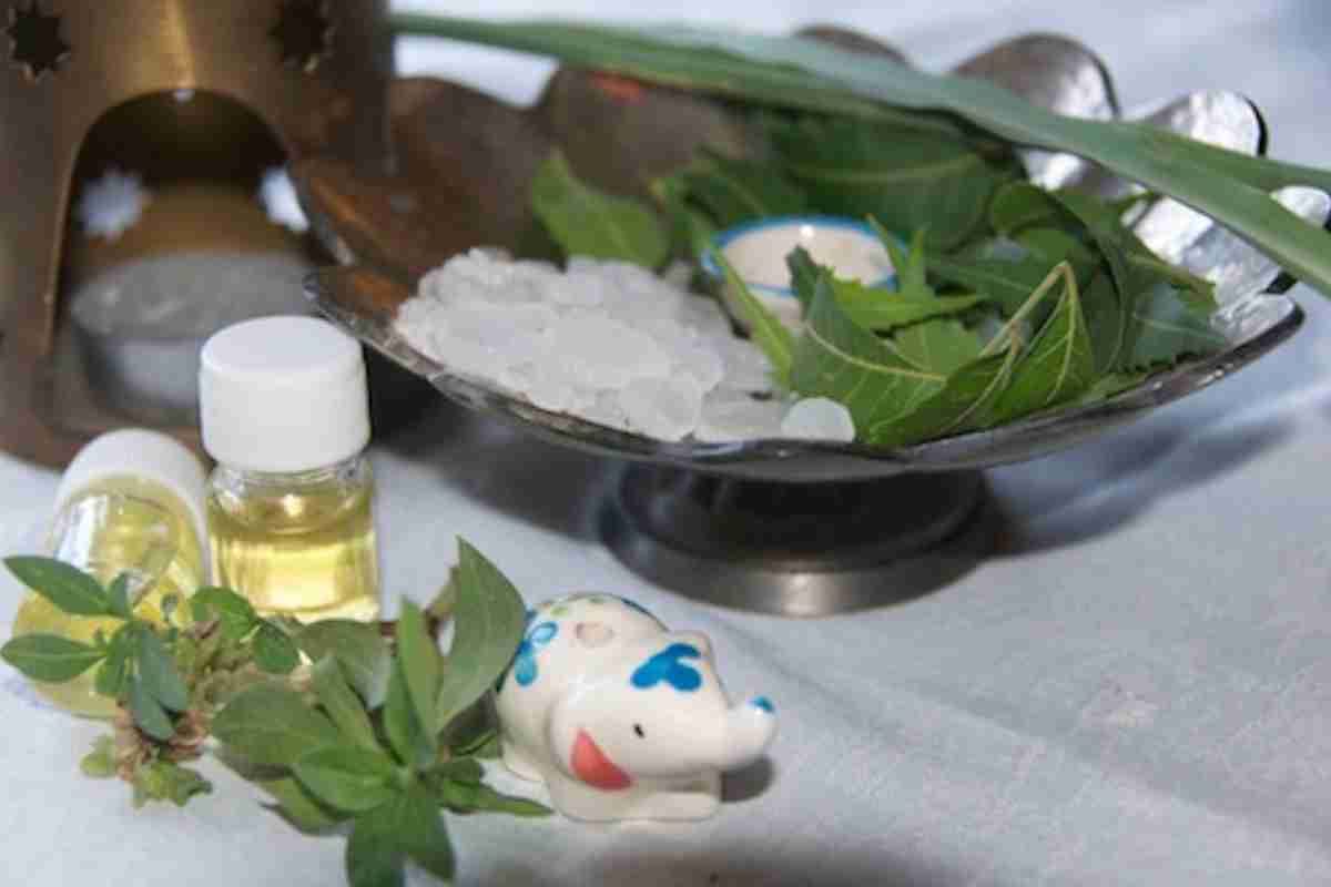 Burning camphor helps kill mosquitoes