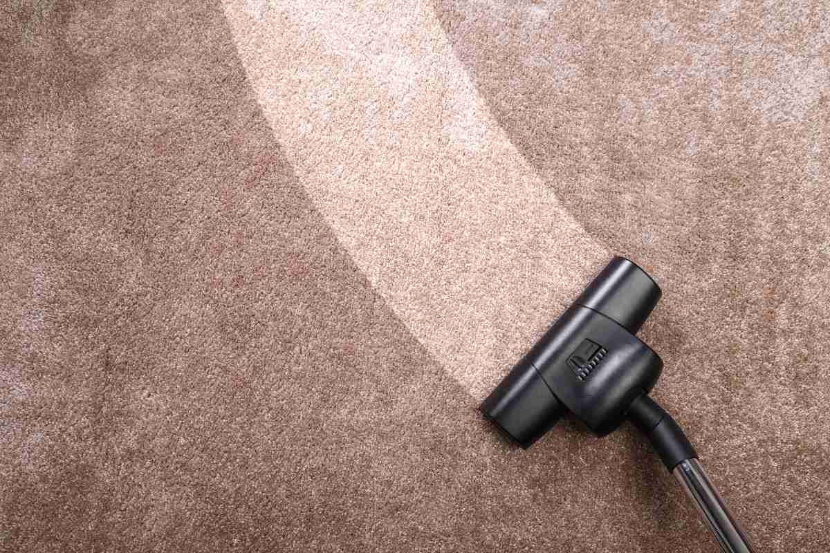 Why You Need A  Pro To clean Your Carpets