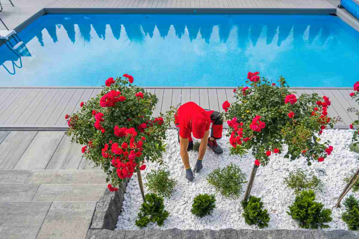 plants for pool side