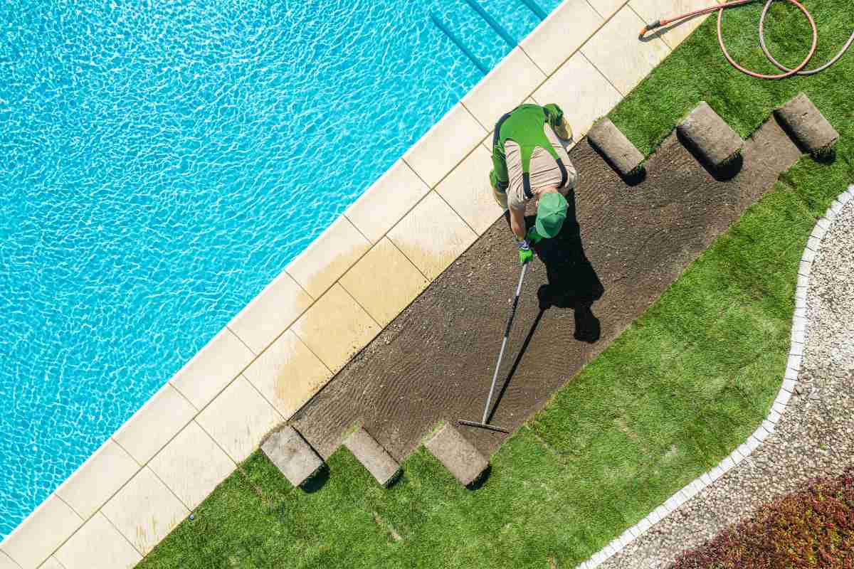 The Ultimate Guide to Backyard Pool Landscaping for a Stunning Outdoor Space