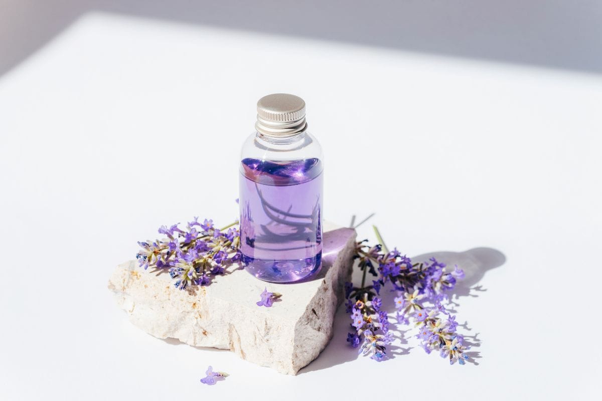 Lavender essential oil repels silver fish