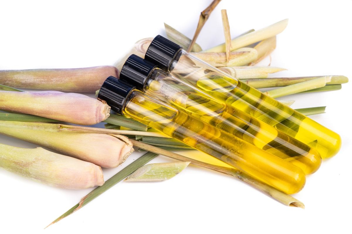 Lemongrass essential oil 