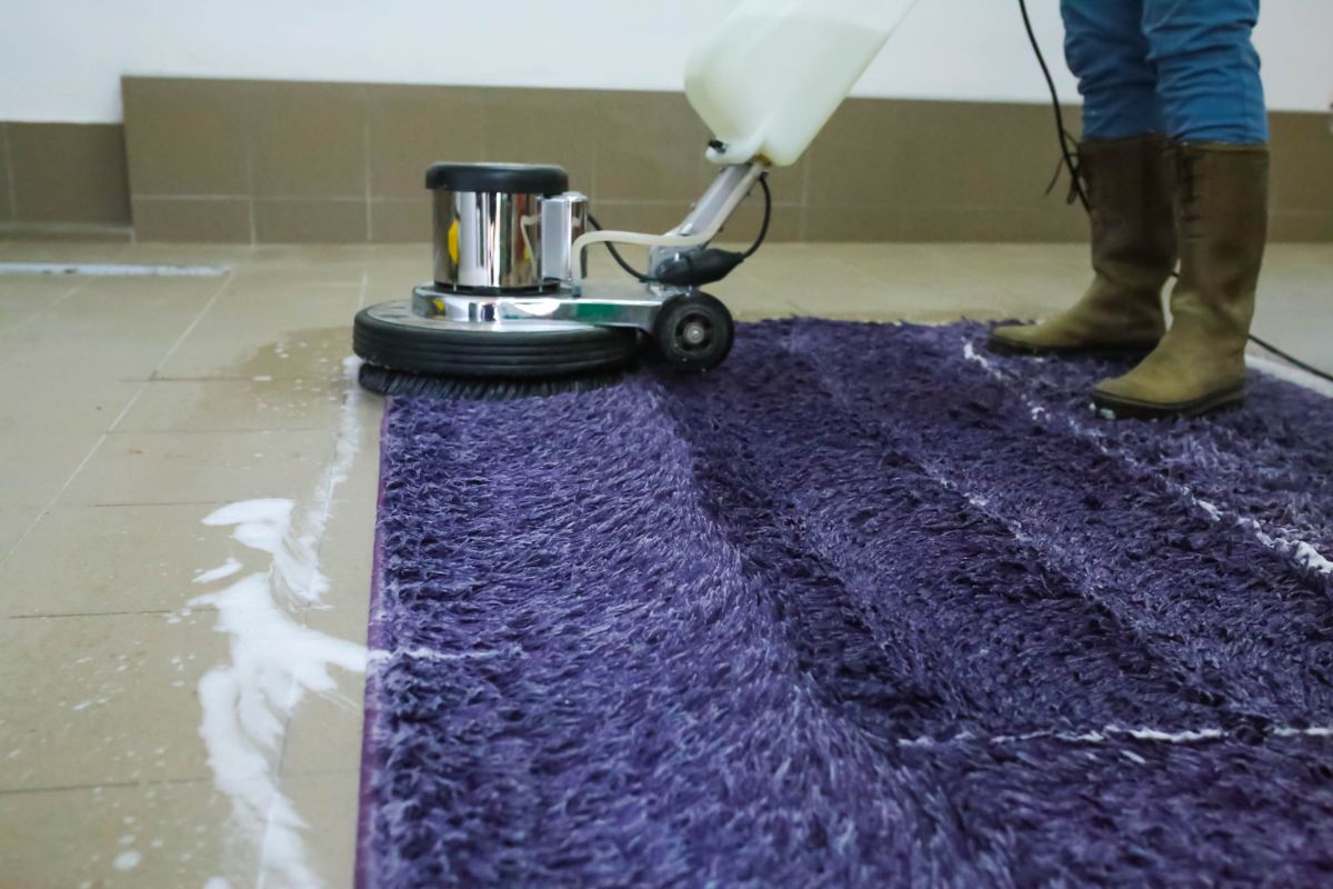 Shampooing carpets