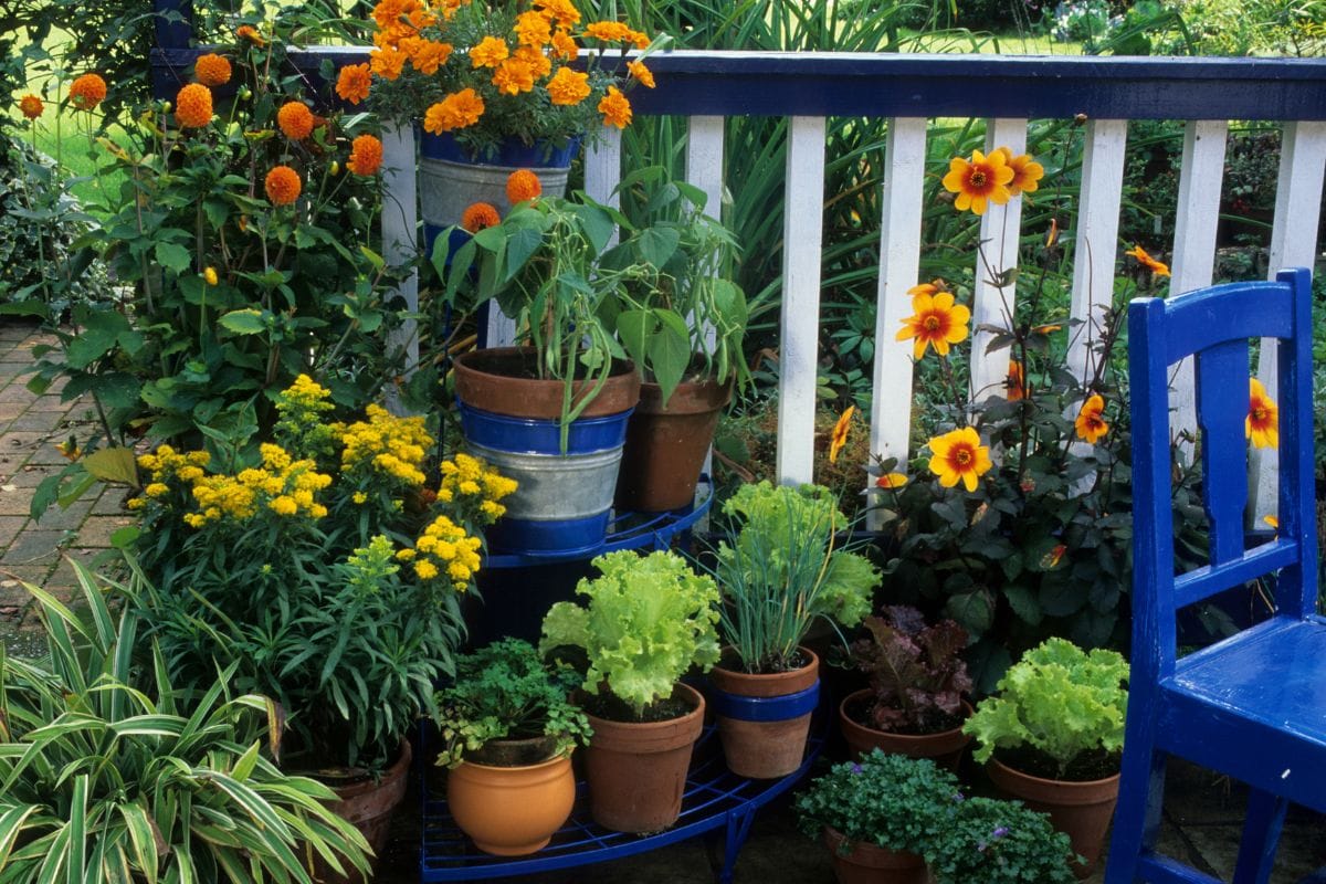 Add a splash of color