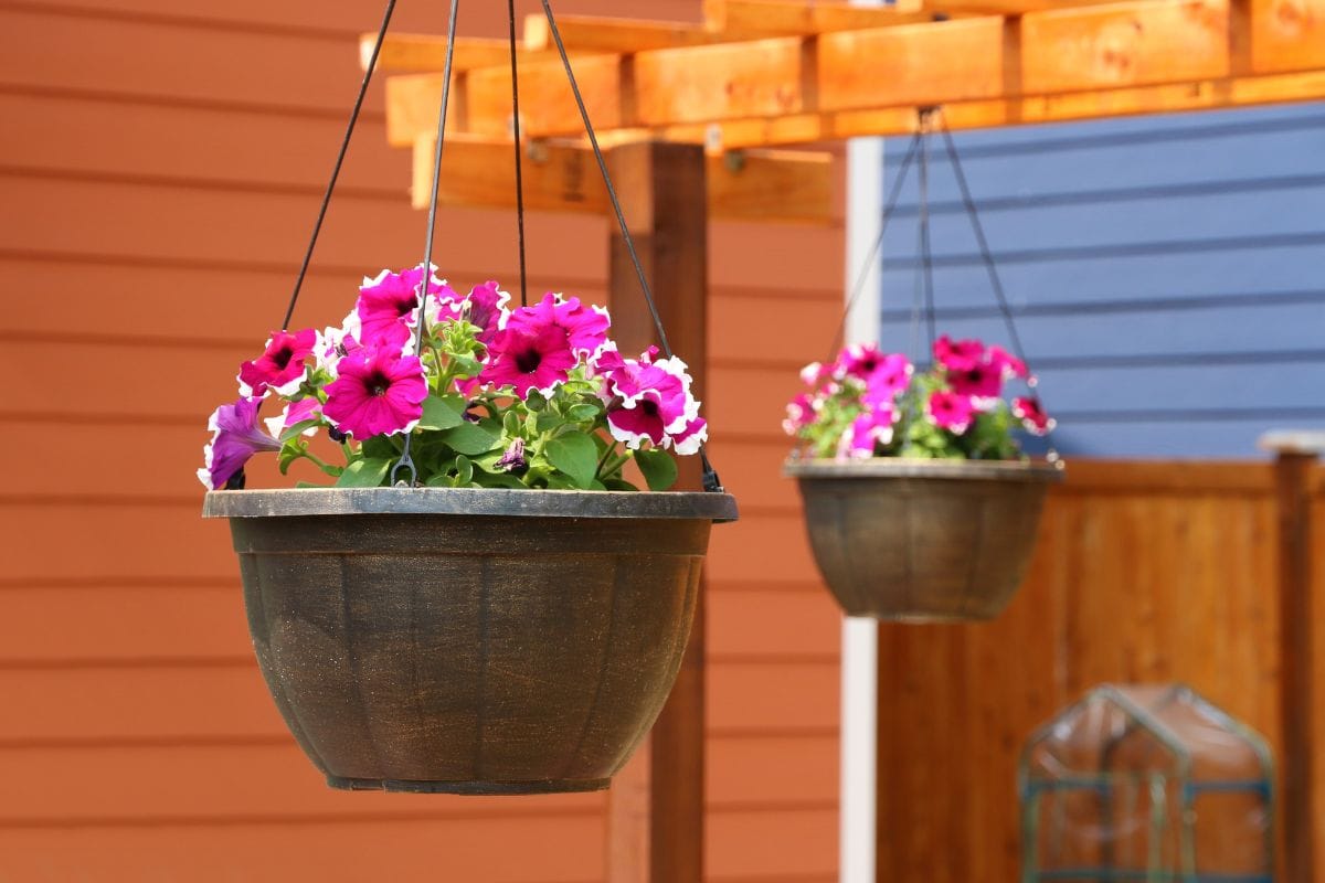 Add some hanging baskets