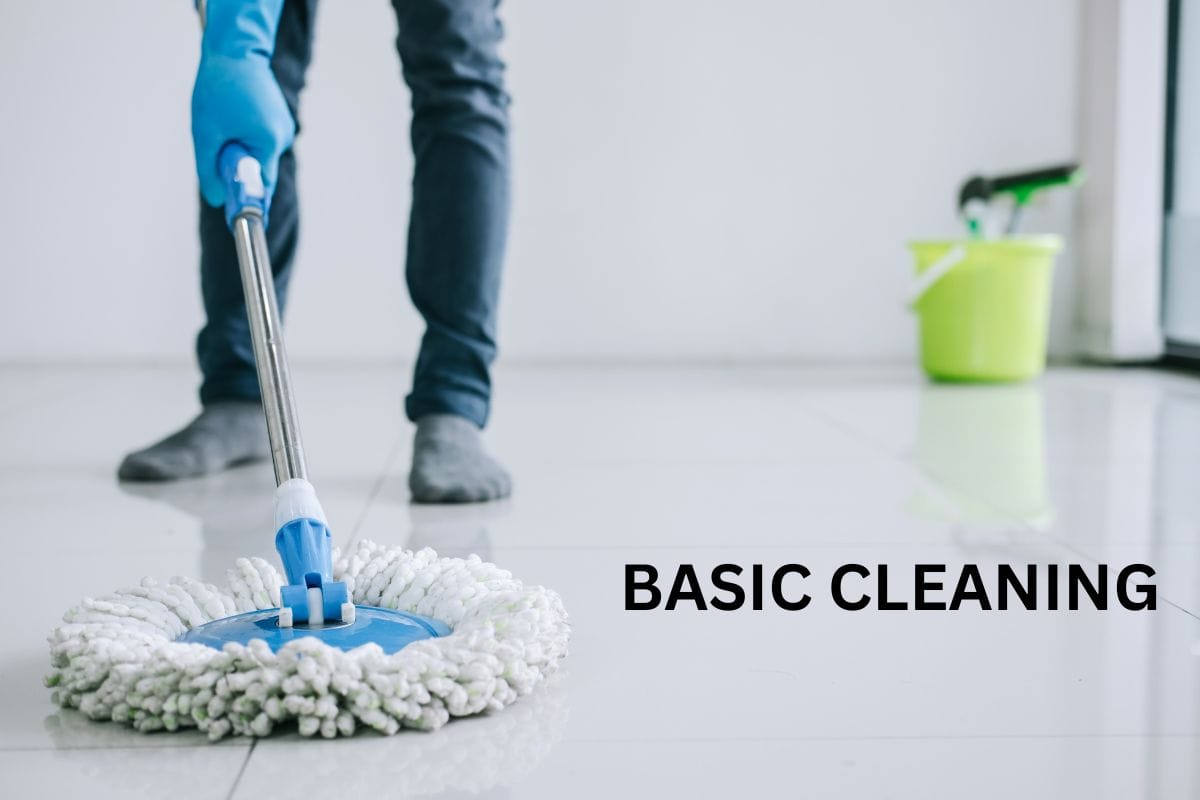 Basic Cleaning