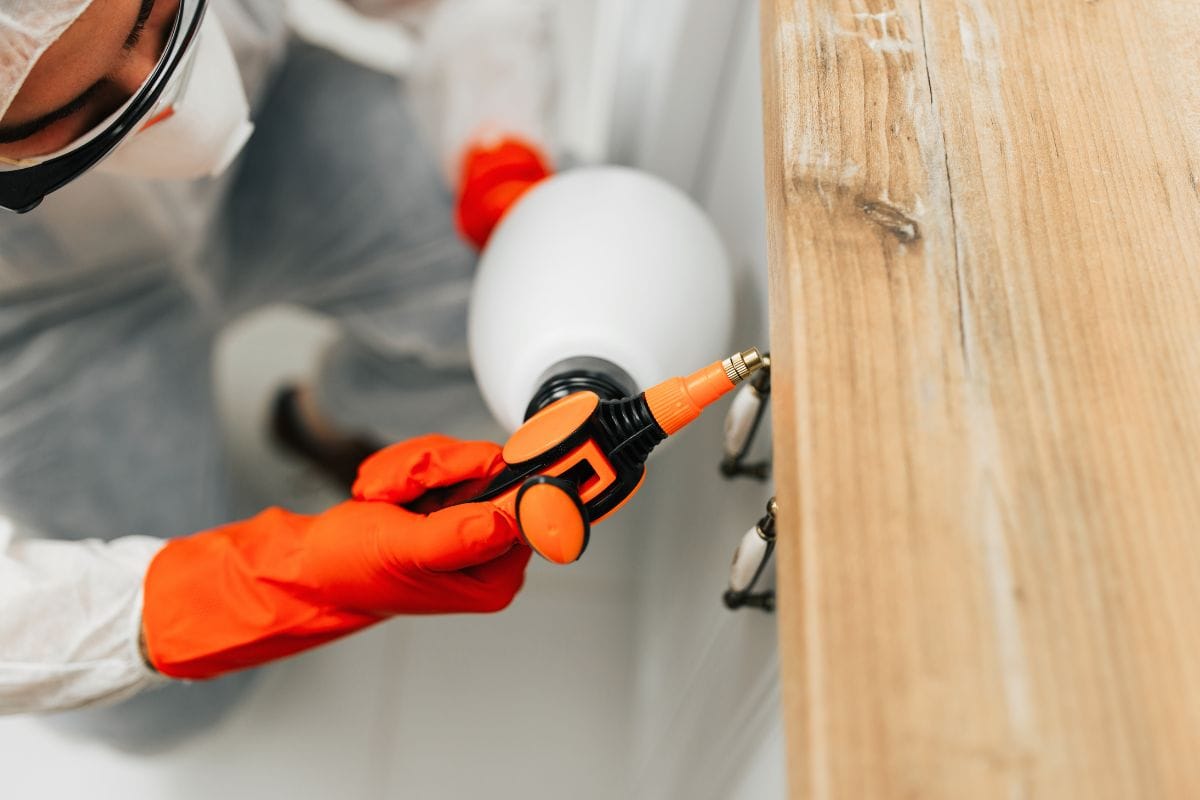 Bedbug Extermination