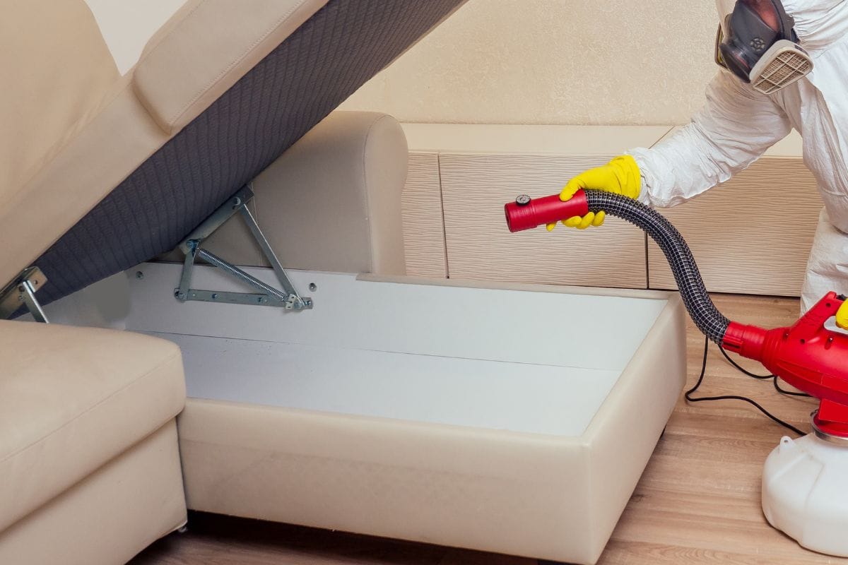 Bedbug Treatments