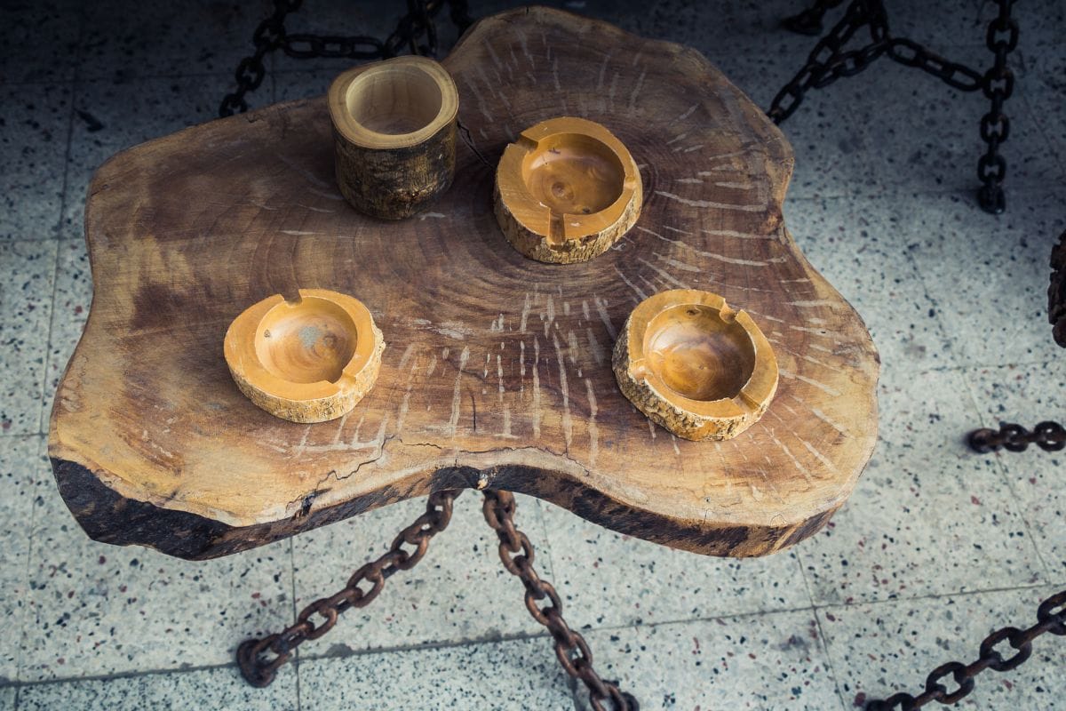 Birch tree log coffee table