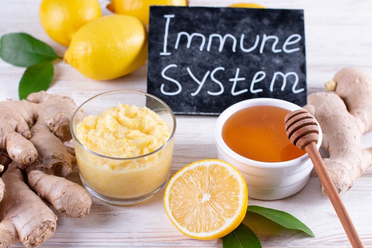 Boosts Your Immune System