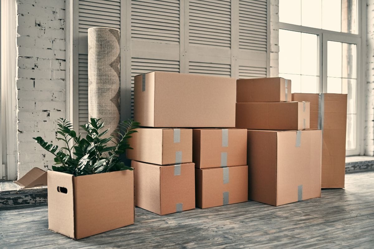 Buy sturdy boxes