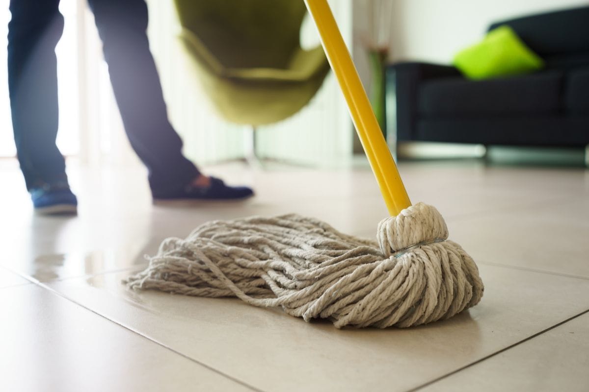 Do the Floor Cleaning regularly