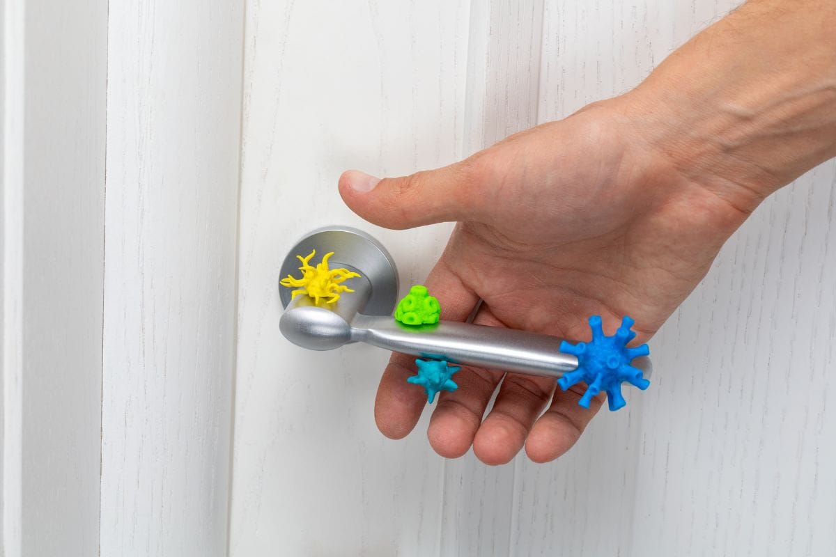 Doorknobs and Handles