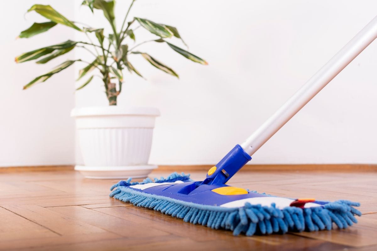 Floor Cleaning