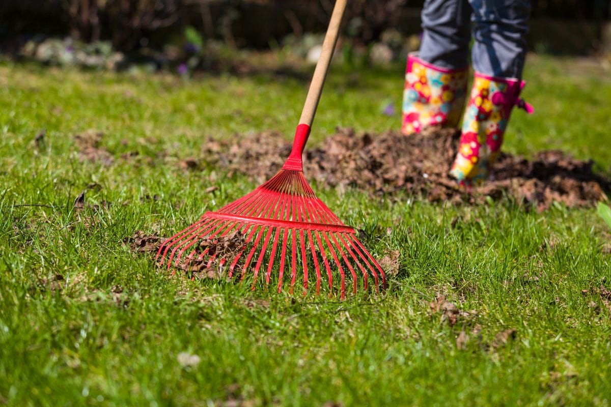 Gardening