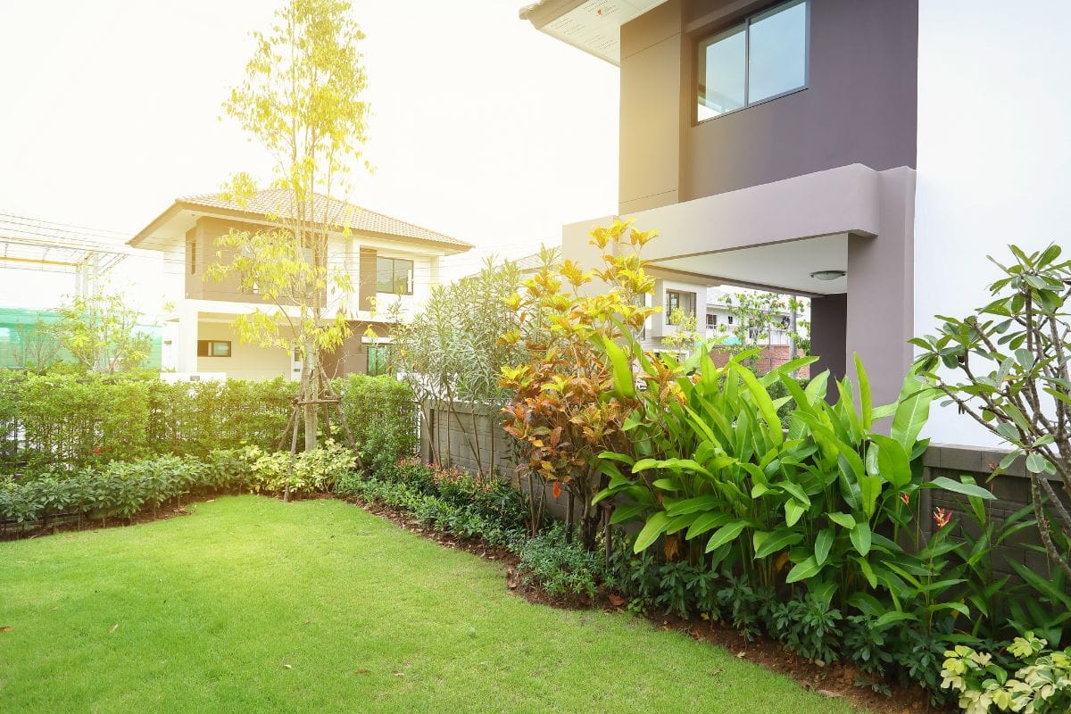 Landscape idea