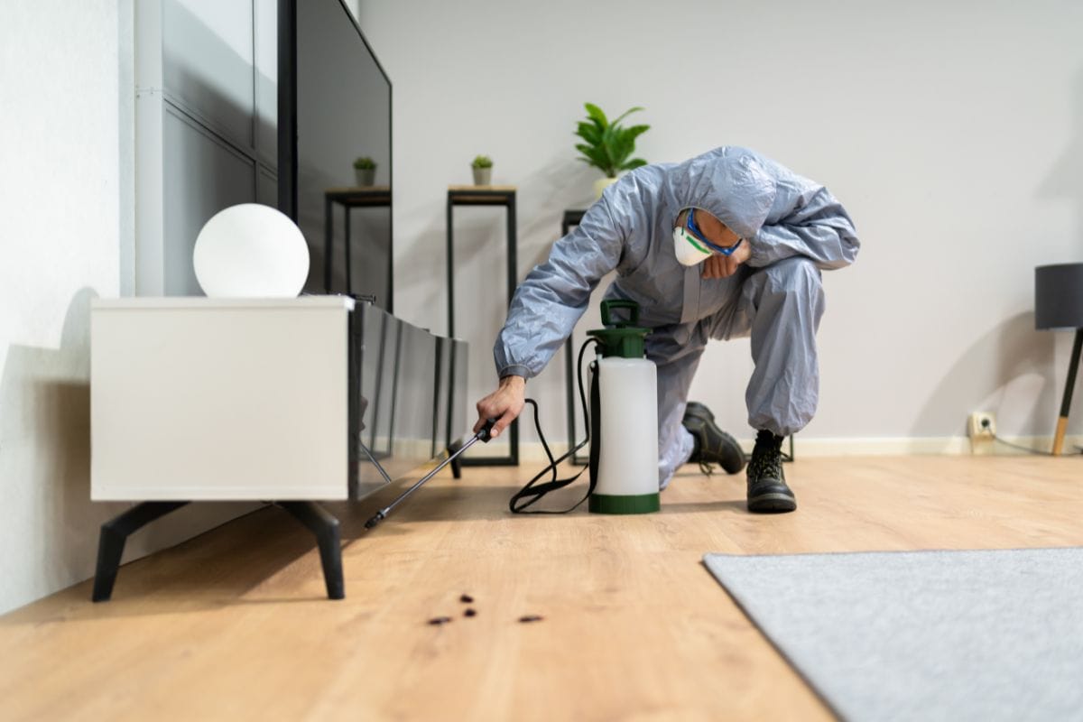 Know the Most Effective Ways of Pest Control
