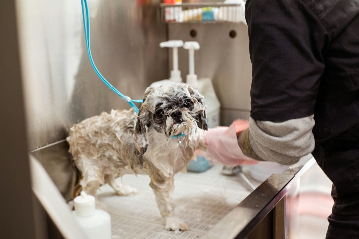 Regular baths