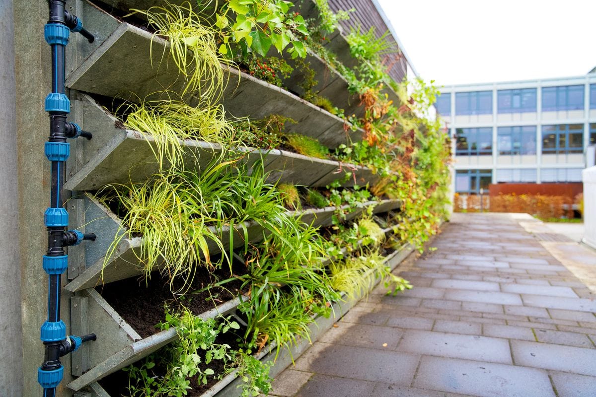 Types of Vertical Gardens
