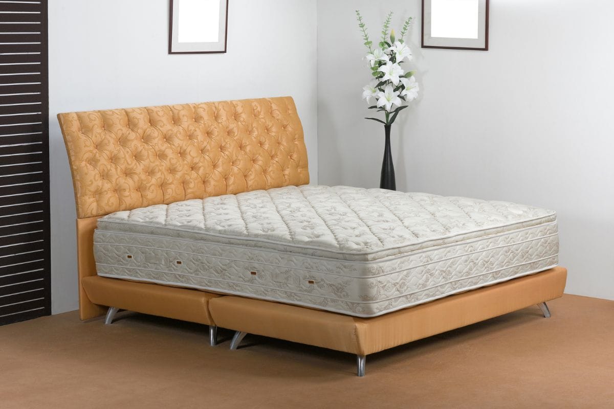 Your Carpet/ Mattress.