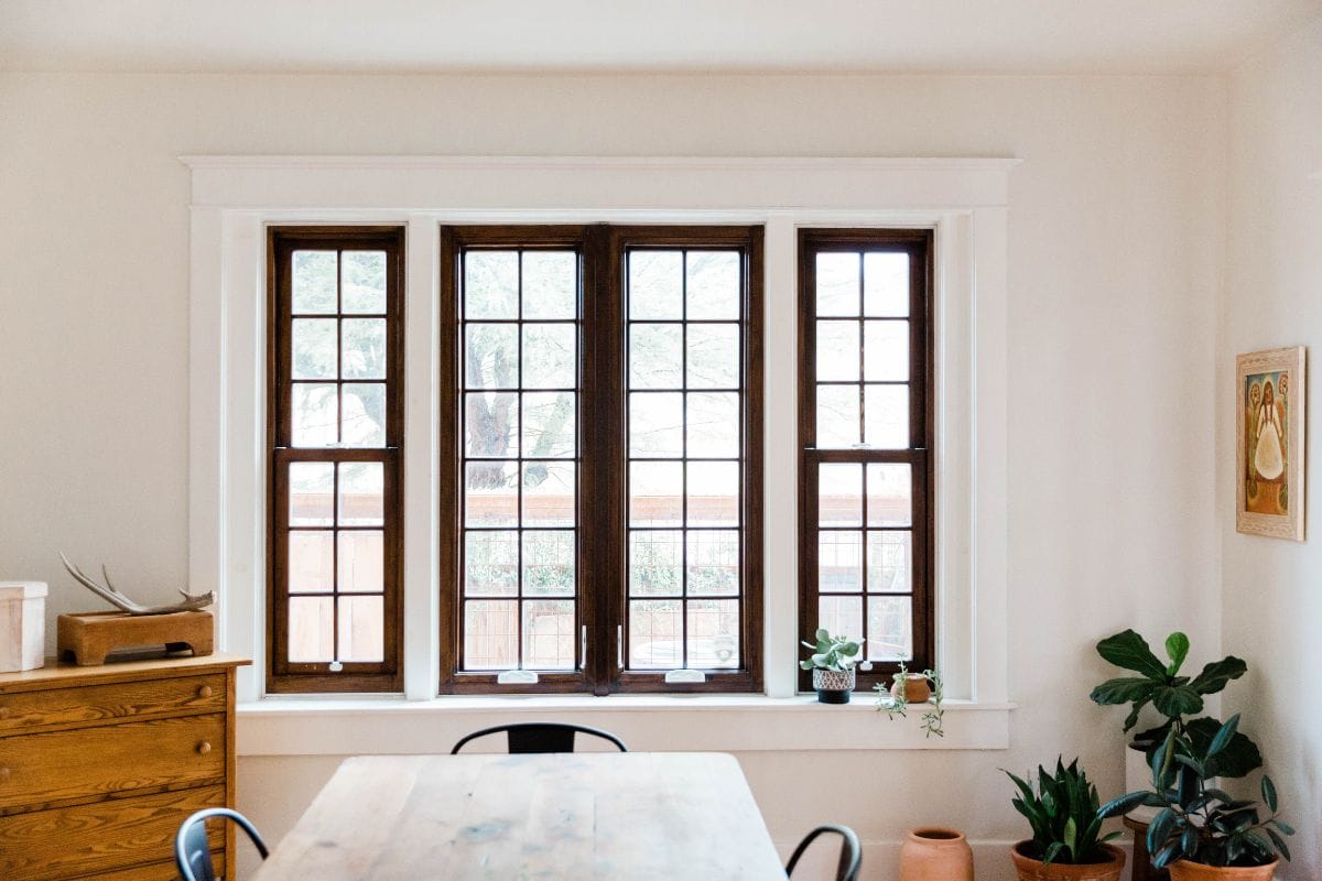 Your Windows.