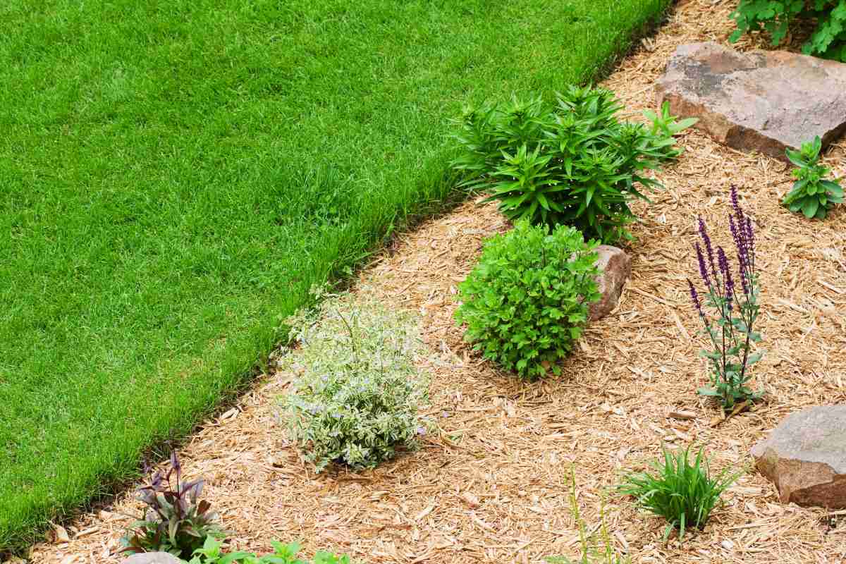 Landscaping Mulch