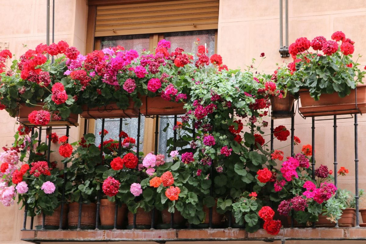 planters to your railings