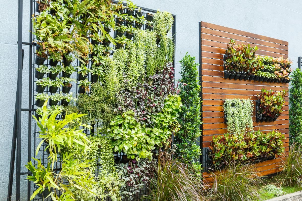 vertical garden
