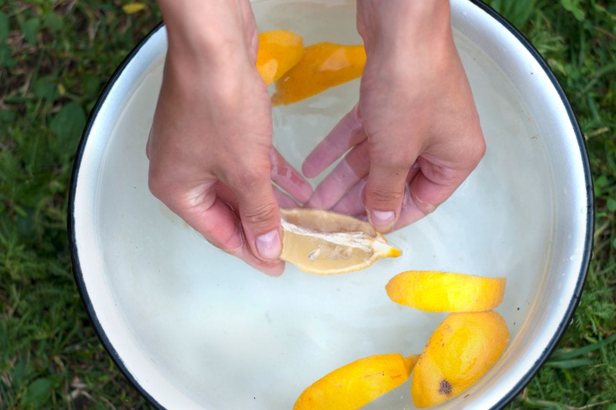 Washing fingers