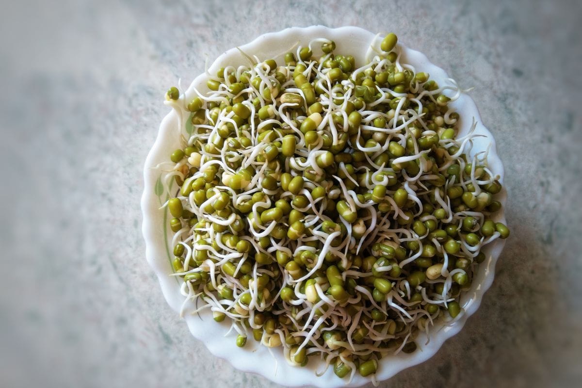 Bean Sprouts
