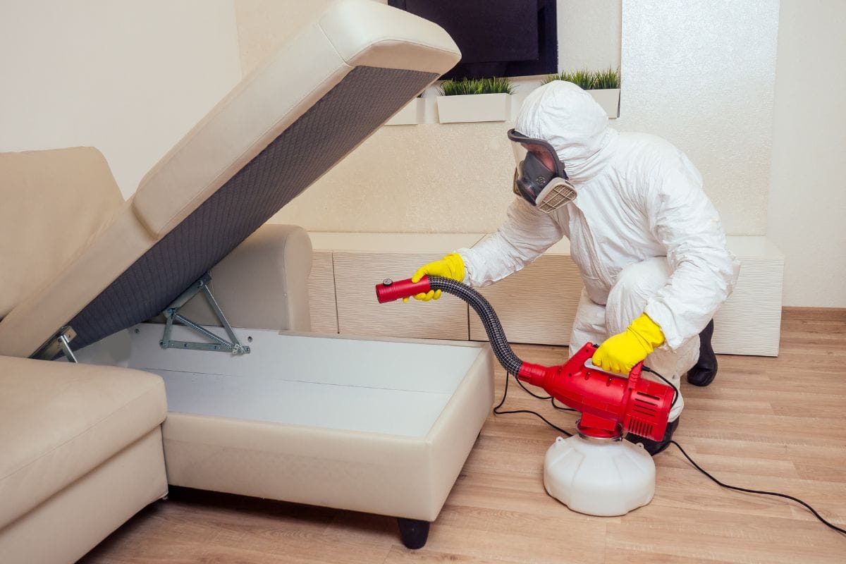 Bed Bug Control Method