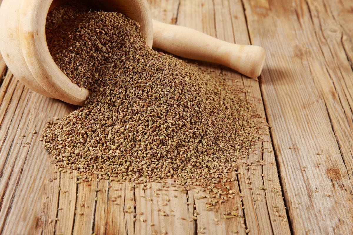 Carom or Ajwain