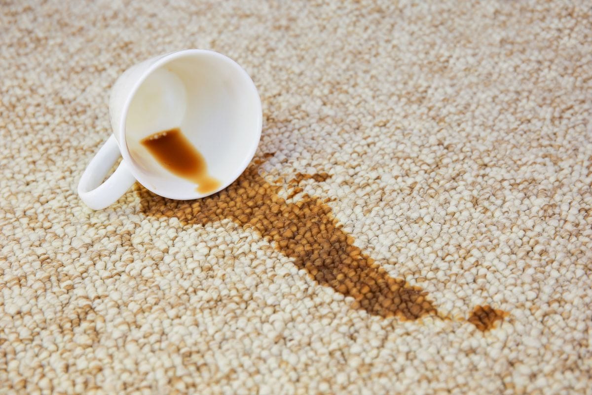 Clean coffee or tea stain.