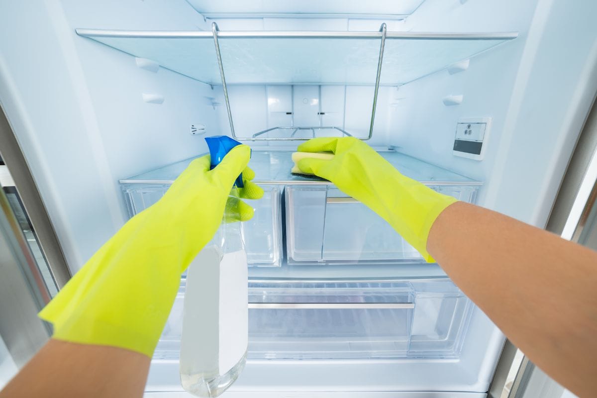 Clean your refrigerator