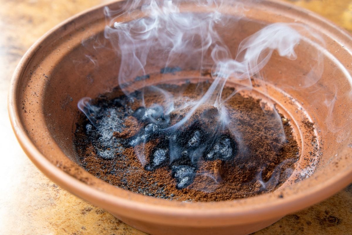 Coffee Grounds