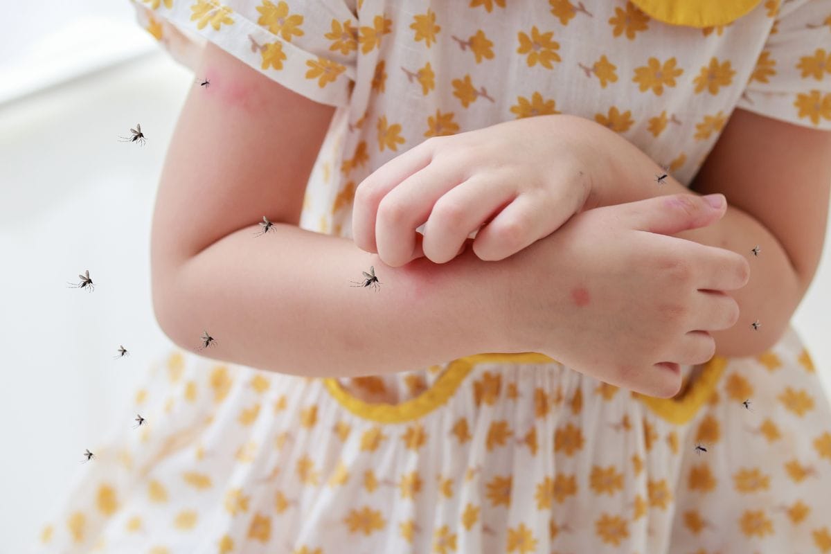 Controlling Mosquito Populations