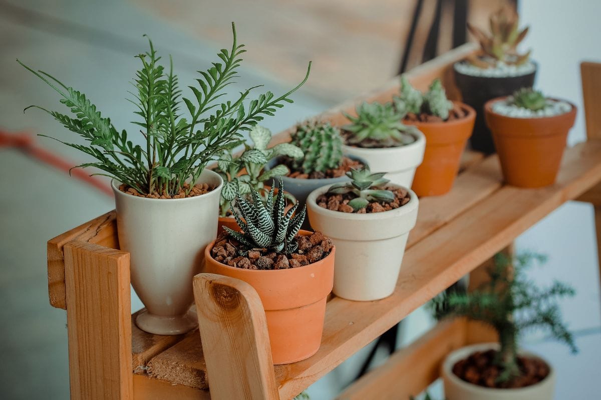 Create Your Own Pots
