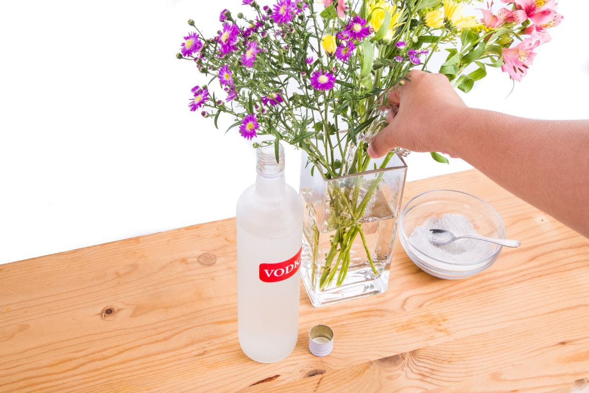 Create a vodka + teaspoon of sugar