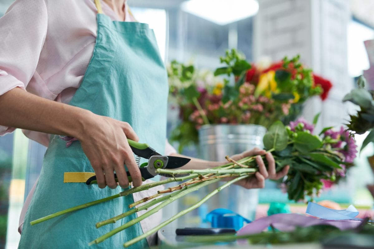 Cut the Flower
